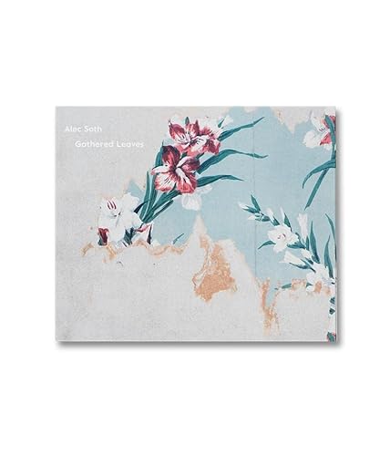 9781910164617: Alec Soth Gathered Leaves - Postcard Set