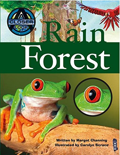 9781910184301: Rain Forest (A Closer Look at)