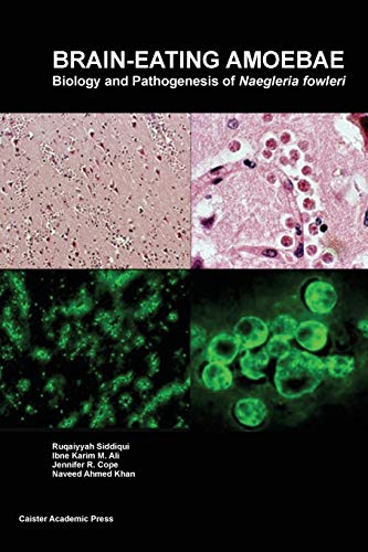 Stock image for Brain-eating Amoebae: Biology and Pathogenesis of Naegleria fowleri for sale by Ria Christie Collections