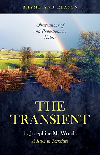 Imagen de archivo de The Transient a la venta por WorldofBooks