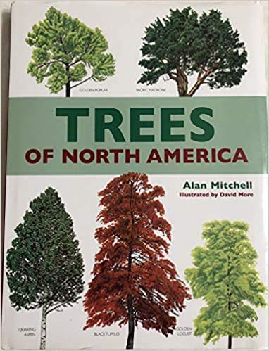 Stock image for Trees of North America for sale by Companion Books