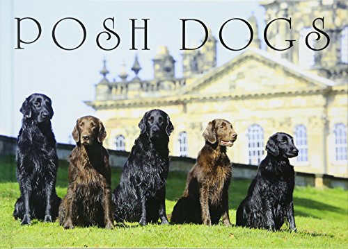 Stock image for Posh Dogs (Country Life Magazine) for sale by WorldofBooks
