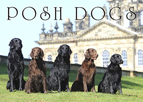 Stock image for Posh Dogs (Country Life Magazine) for sale by AwesomeBooks