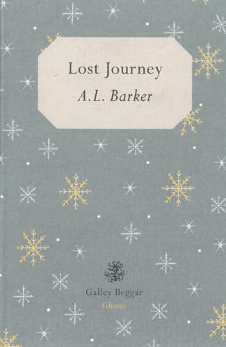 9781910296196: Lost Journey