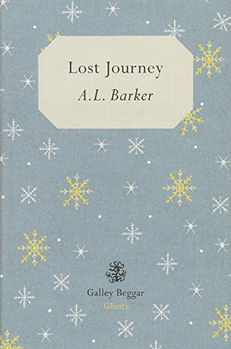 9781910296196: Lost Journey
