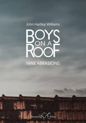 Beispielbild fr Boys on a Roof: Nine Abrasions zum Verkauf von AwesomeBooks