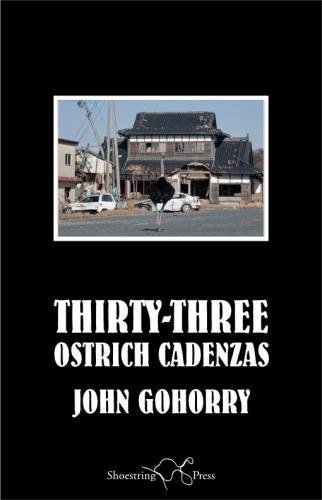 9781910323748: Thirty-Three Ostrich Cadenzas
