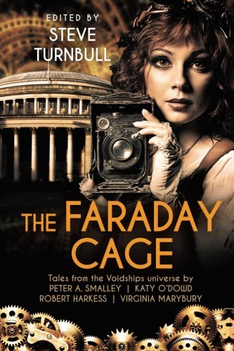 Beispielbild fr The Faraday Cage zum Verkauf von AwesomeBooks