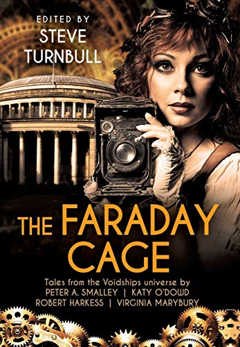 9781910342435: The Faraday Cage