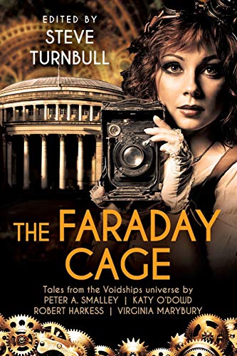 9781910342442: The Faraday Cage