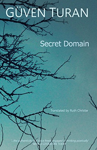 9781910346020: The Secret Domain