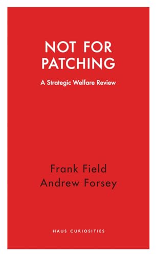 Stock image for Not for Patching: A Strategic Welfare Review (Haus Curiosities) for sale by WorldofBooks