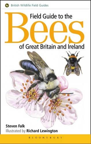 9781910389027: Field Guide to the Bees of Great Britain and Ireland