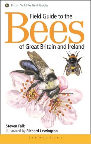 Stock image for Field Guide to the Bees of Great Britain and Ireland (Bloomsbury Wildlife Guides) for sale by Greener Books