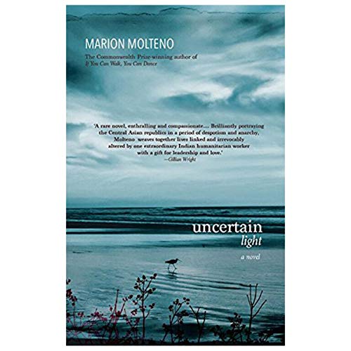 Beispielbild fr Uncertain Light zum Verkauf von WorldofBooks