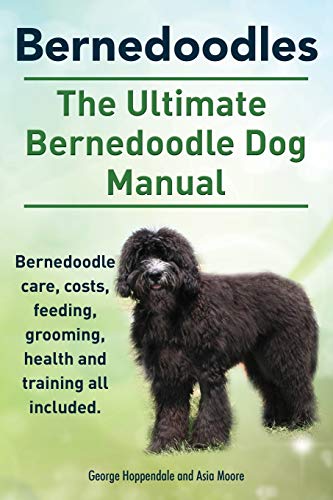 Beispielbild fr Bernedoodles. The Ultimate Bernedoodle Dog Manual. Bernedoodle care, costs, feeding, grooming, health and training all included. zum Verkauf von Zoom Books Company