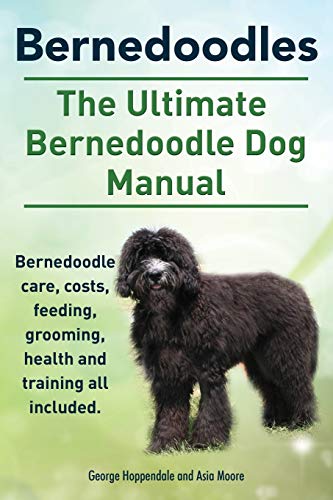 Stock image for Bernedoodles. The Ultimate Bernedoodle Dog Manual. Bernedoodle care, costs, feeding, grooming, health and training all included. for sale by Zoom Books Company