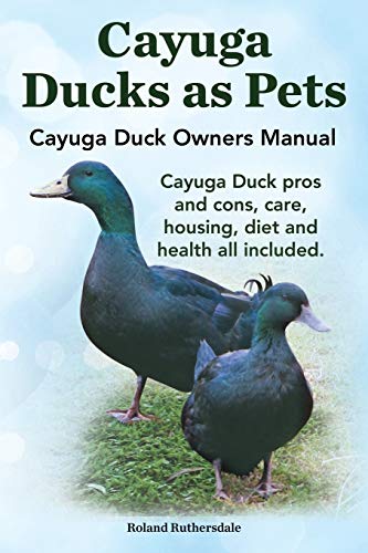 Stock image for Cayuga Ducks as Pets Cayuga Duck Owners Manual Cayuga Duck Pros and Cons, Care, Housing, Diet and Health All Included for sale by PBShop.store US