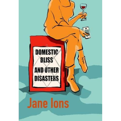 Imagen de archivo de Domestic Bliss and Other Disasters: Short listed for the 2021 Comedy Women In Print Prize a la venta por WorldofBooks