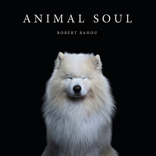 Stock image for Animal Soul for sale by Revaluation Books