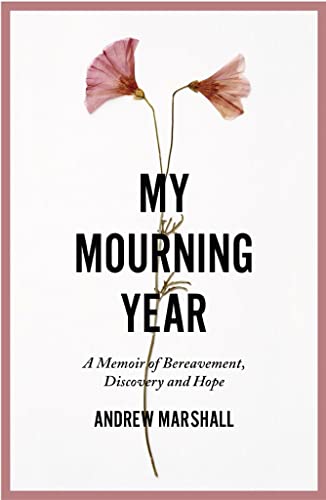 Stock image for My Mourning Year: A Memoir of Bereavement, Discovery and Hope for sale by Kennys Bookshop and Art Galleries Ltd.