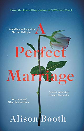 Stock image for A Perfect Marriage for sale by WorldofBooks