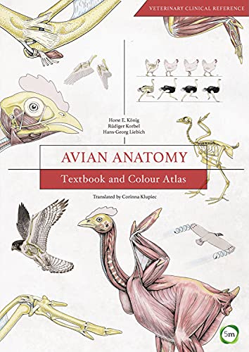 9781910455609: Avian Anatomy: Textbook and Colour Atlas