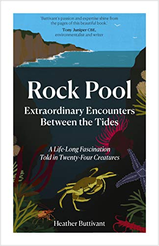 Stock image for Rock Pool: Extraordinary Encounters Between the Tides: A Life-long Obsession told in Twenty Creatures: A Life-long Obsession told in Twenty-Four Creatures for sale by WorldofBooks