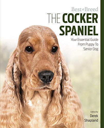 Stock image for Cocker Spaniel Best of Breed for sale by Reuseabook