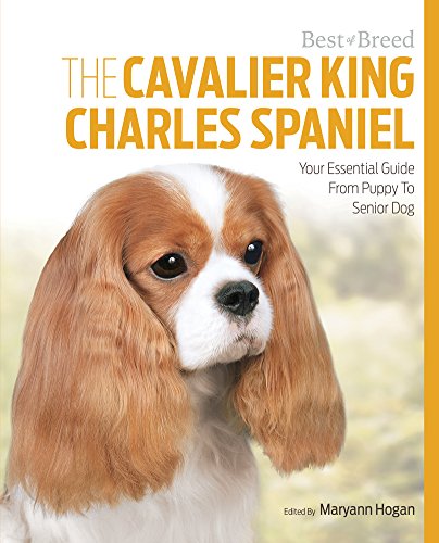 Stock image for The Cavalier King Charles : Your Essential Guide from Puppy to Senior Dog for sale by Better World Books: West