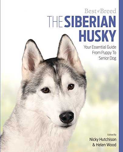 Beispielbild fr Siberian Husky Best of Breed zum Verkauf von AwesomeBooks