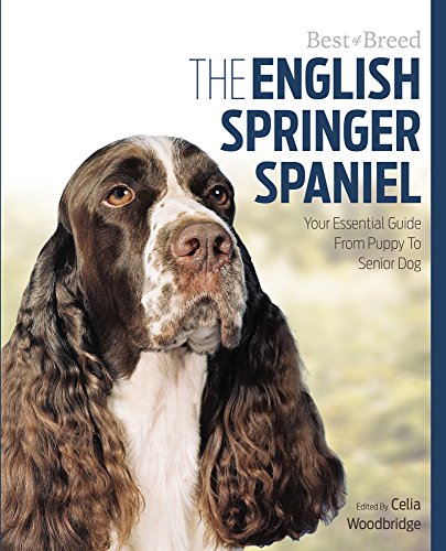 Imagen de archivo de English Springer Spaniel Best of Breed a la venta por AwesomeBooks
