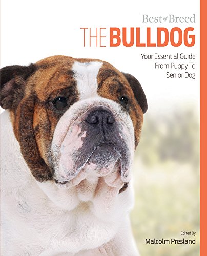 Beispielbild fr Bulldog Best of Breed: Your Essential Guide from Puppy to Senior Dog zum Verkauf von WorldofBooks