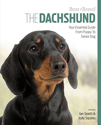 9781910488140: Dachshund Best of Breed: Your Essential Guide from Puppy to Senior Dog