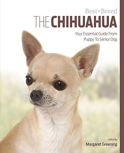 Beispielbild fr Chihuahua Best of Breed zum Verkauf von WorldofBooks
