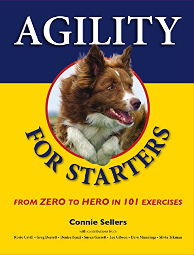 Stock image for Agility for Starters: From Zero to Hero in 101 Exercises for sale by Goodwill of Colorado