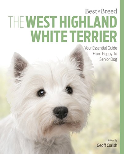 Stock image for West Highland White Terrier: Best of Breed for sale by Reuseabook