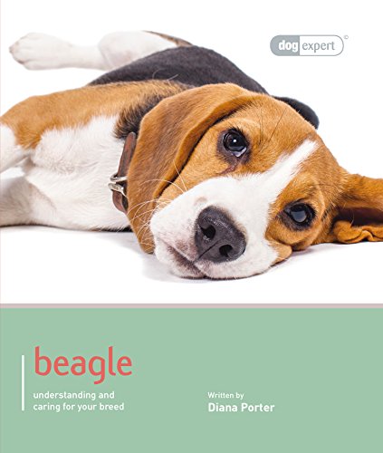 Beispielbild fr Beagle - Dog Expert zum Verkauf von WorldofBooks