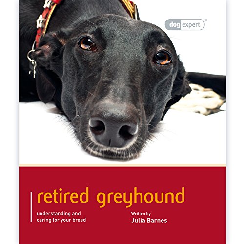 Beispielbild fr Greyhound: Dog Expert zum Verkauf von WorldofBooks