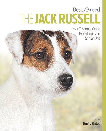 Imagen de archivo de The Jack Russell Best of Breed a la venta por WorldofBooks