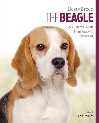 Stock image for The Beagle Best of Breed for sale by WorldofBooks