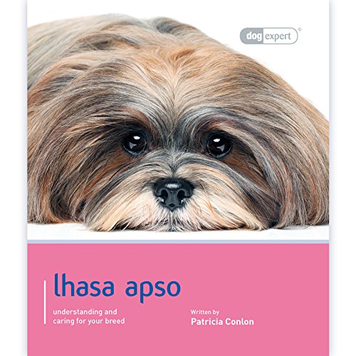 Beispielbild fr Lhasa Apso: Dog Expert zum Verkauf von WorldofBooks