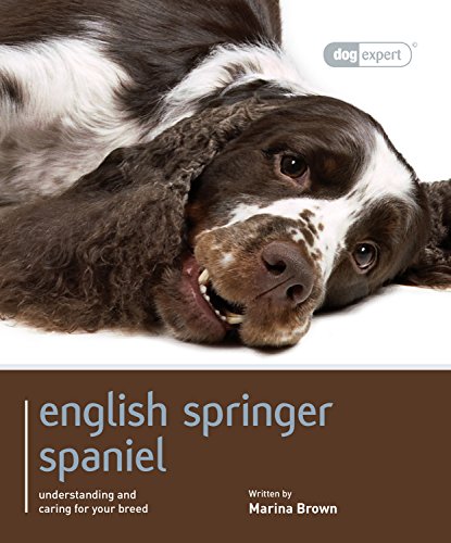 Beispielbild fr English Springer Spaniel: Dog Expert zum Verkauf von WorldofBooks