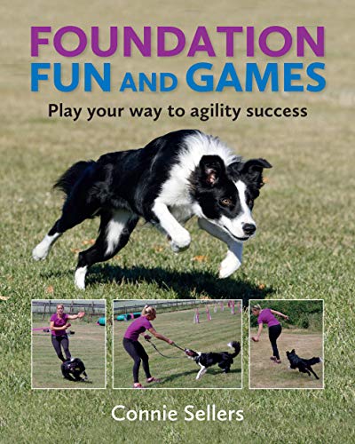 Imagen de archivo de Foundation Fun And Games : Play Your Way To Agility Success a la venta por AHA-BUCH GmbH