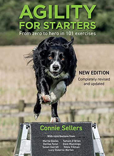 9781910488607: Agility For Starters: From zero to hero in 101 exercises