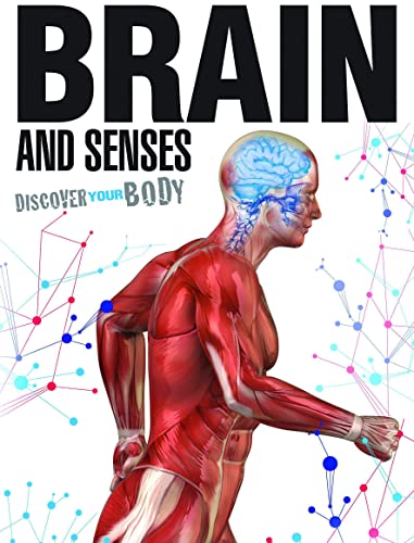 Beispielbild fr Brain and sense (Discover Your Body) zum Verkauf von WorldofBooks