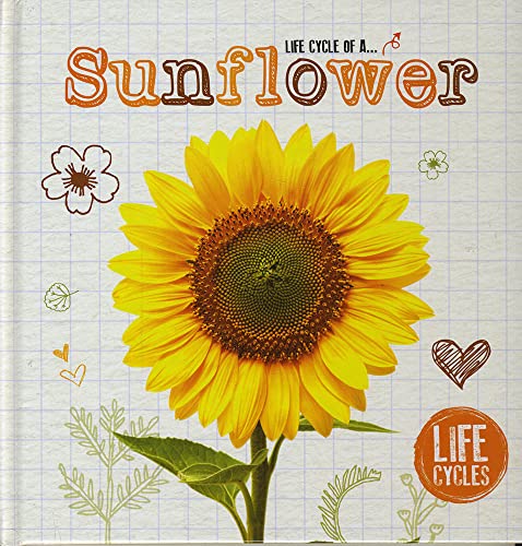 Stock image for Life Cycle of a Sunflower for sale by Better World Books: West