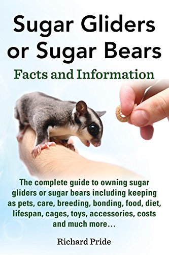 Stock image for Sugar Gliders or Sugar Bears: Facts and Information on Sugar Gliders as Pets Including Care, Breeding, Bonding, Food, Diet, Lifespan, Cages, Toys, C for sale by SecondSale