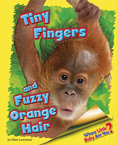 Beispielbild fr Tiny Fingers and Fuzzy Orange Hair (Orangutan) zum Verkauf von Better World Books