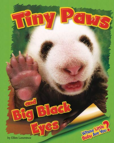 Imagen de archivo de Tiny Paws and Big Black Eyes (Giant Panda) a la venta por Better World Books